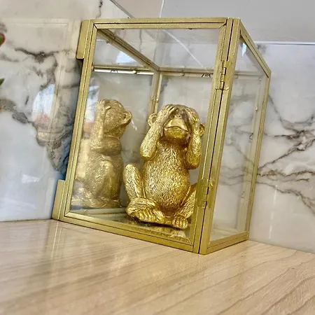 Suite649 Nuova 5 * מודנה